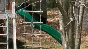 Watch: Bear slides down playset slide as child shrieks in happiness